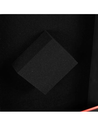 Plugger Case Flight case CDJ 3000 Elite