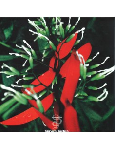 Tal Fussman - Everybody