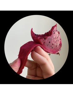 Tiga & Hudson Mohawke - LMZ:RMX