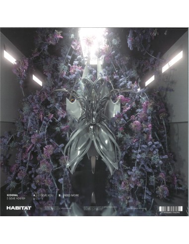 Sideral - I Give You