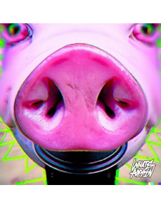 AKA AKA, Artenvielfalt - Let Me Show You / Techno Cat