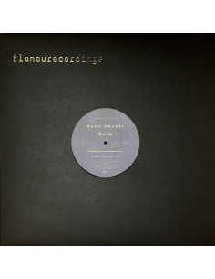 Dana Santi - Rain (Charles Webster / DJ Jauche RMX) 2