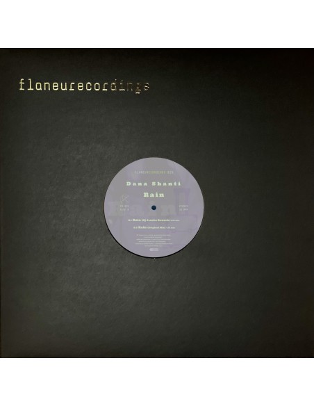 Dana Santi - Rain (Charles Webster / DJ Jauche RMX)
