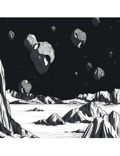 Definition - Lion, The Lion (2x12")