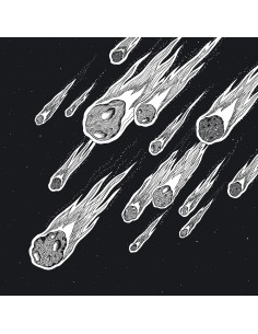 Definition - Lion, The Lion (2x12") 2