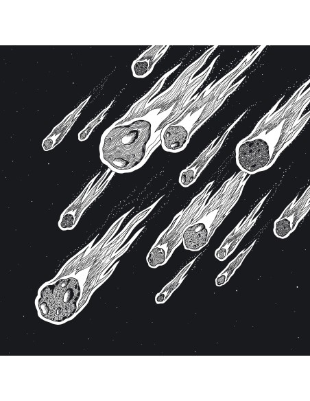 Definition - Lion, The Lion (2x12")