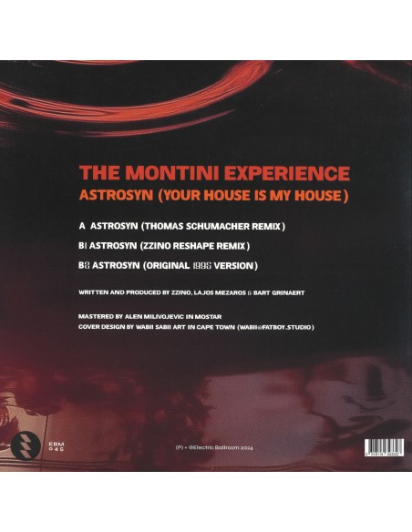 The Montini Experience - Astrosyn (Your House Is My House)