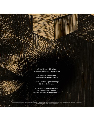 Various - Steyoyoke Anniversary Vol. 13 (2x12"LP)