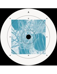 Andres Campo - Domaine 2