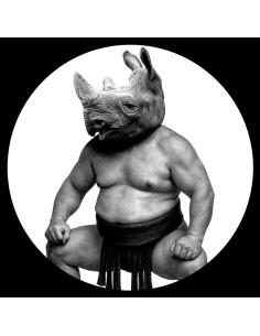 Conceptual - Between Sand And Roses