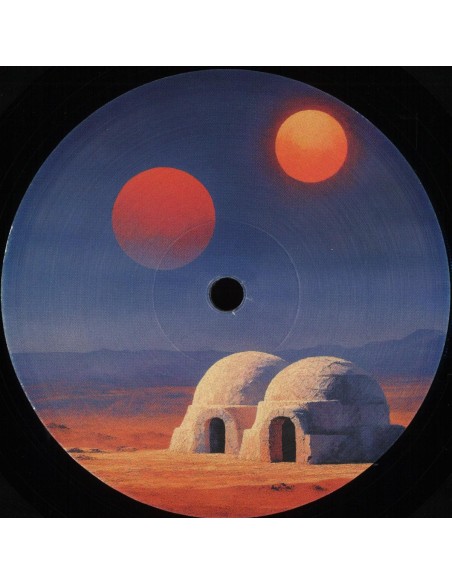 Various - Transient States. Feedback