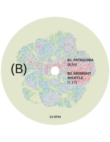 Nick Warren - Turbulence (2x12''LP)