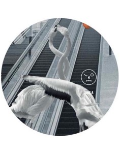 Sasha & Henry Saiz - Love Is All You Need