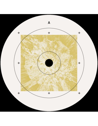 Dok & Martin - Impulse