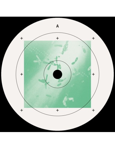 Drumsauw & Unknown Code - Lost Control