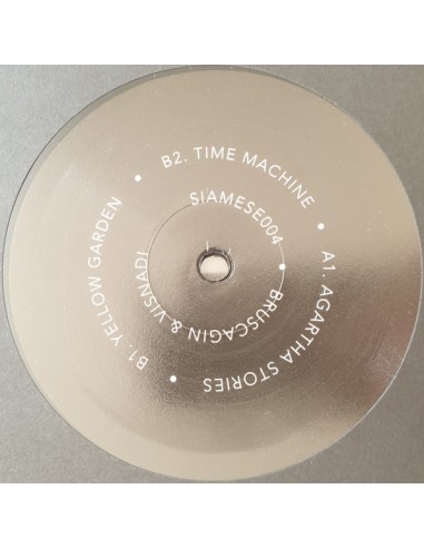 Bruscagin, Visnadi - Agartha Stories