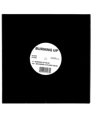 Jimpster - burning up / becoming cyclonic (10''LP)
