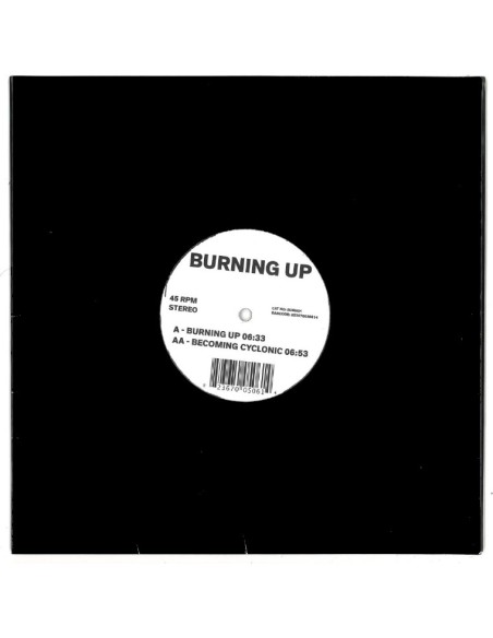 Jimpster - burning up / becoming cyclonic (10''LP)