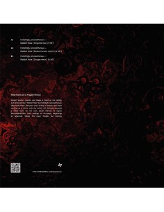 Various - Rabbit Hole EP LP 2