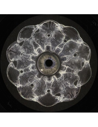 Vinyl Speed Adjust - Hypnotizin EP