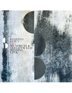 Munimuni & Seelenwald - Missing Link