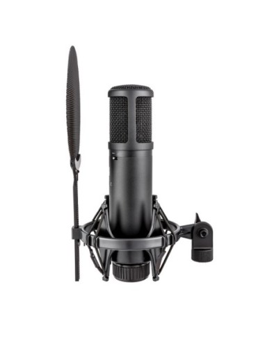SE Electronics SE2200 Studiomicrofoon