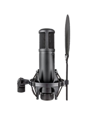 SE Electronics SE2200 Studio Microphone
