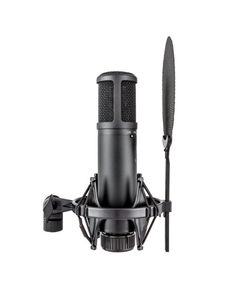 SE Electronics SE2200 Studiomicrofoon