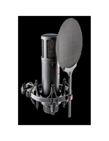 SE Electronics SE2200 Studio Microphone