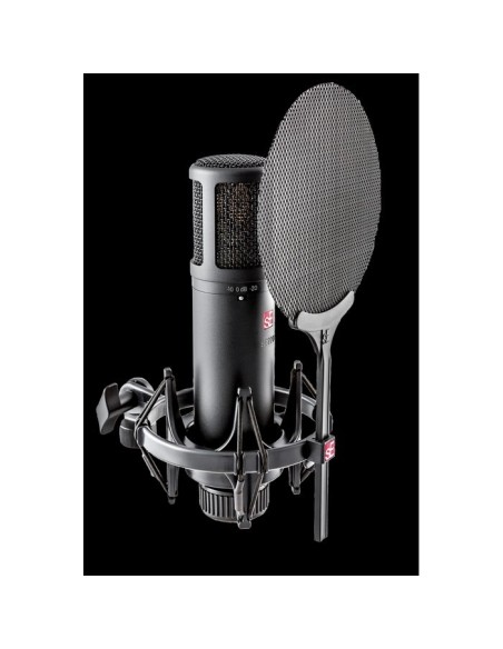 SE Electronics SE2200 Studio Microphone