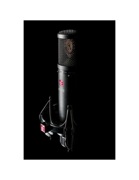 SE Electronics SE2200 Studio Microphone