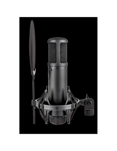 SE Electronics SE2200 Studiomicrofoon