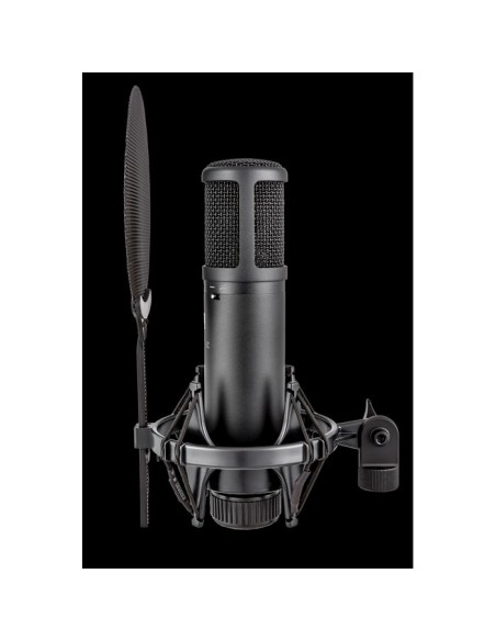 SE Electronics SE2200 Studiomicrofoon