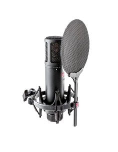 SE Electronics SE2200 Studiomicrofoon