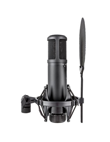 SE Electronics SE2200 Studiomicrofoon