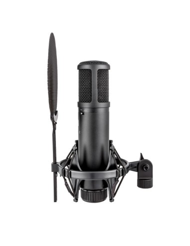 SE Electronics SE2200 Studiomicrofoon