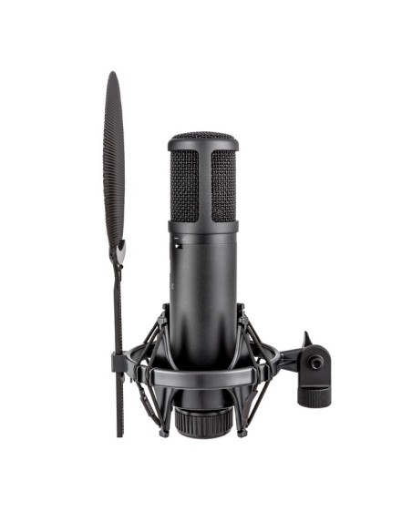 SE Electronics SE2200 Studiomicrofoon