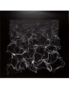 Coss - Digital Water