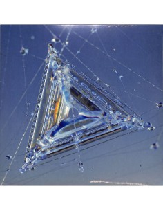 Kevin de Vries & Y do I - Saga