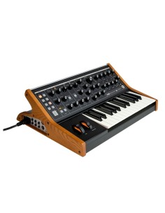 Moog Subsequent 25 2