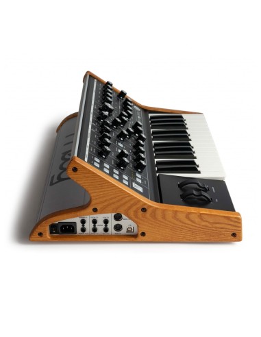 Moog Subsequent 25