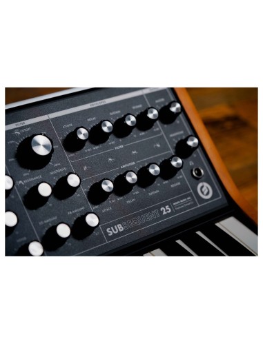 Moog Subsequent 25