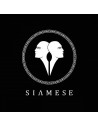 Siamese
